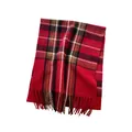 Red plaid faux cashmere scarf with fringe details for autumn and winter warmth, variant - 200x60cm / Red Plaid (57#)