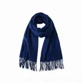 Solid navy blue soft cashmere-like winter scarf with elegant long tassels detail - 200x60cm / Dark Blue (64#)