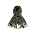 Classic green and brown plaid imitation cashmere winter scarf with elegant tassel ends - 200x60cm / Green and Coffee Plaid