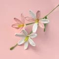 Handmade crocheted lily flowers in pink and white colors for gift decoration. - Finished Rain Blossom Branches - Pink