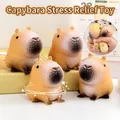 Adorable Capybara slow rebound squeeze toy set for effective stress relief and sensory fun - Capybara