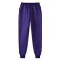 Jogging pour homme violet foncé avec doublure polaire et cordon de serrage taille - S / Violet
