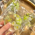 Transparent floral daisy fluid squishy ball for stress relief and sensory play - Spring Daisy
