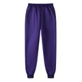Deep purple solid color fleece-lined sweatpants with drawstring waist for winter warmth - S / Bottoms / Purple
