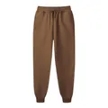 Premium brown solid color fleece-lined joggers with elastic waist and drawstring - S / Bottoms / Coffee