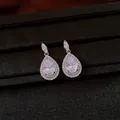 Primer plano de pendientes de gota con circonitas brillantes en un estuche elegante - Pendientes-Blanco / Plateado