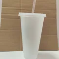 Frosted white 710ml large capacity plastic glitter straw cup with matching lid - 24oz / White
