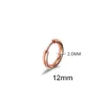 Polished rose gold titanium steel hoop earring with 12mm diameter and 2mm thickness - 2.0*12mm Rose Gold Tone (Single Piece)