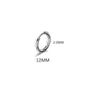 Minimalist silver titanium steel hoop earring 12mm diameter with 2mm thickness - 2.0*12mm Silver Tone (Single Piece)