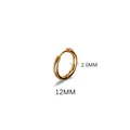 Classic gold-plated stainless steel 12mm hoop earring with 2.0mm thickness detail - 2.0*12mm Gold Tone (Single Piece)