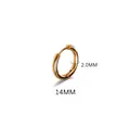 Variant of gold stainless steel hoop earring with 14mm diameter and 2.0mm thickness - 2.0*14mm Gold Tone (Single Piece)
