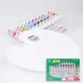 Set of 12 vibrant acrylic paint tubes with palette and 4 professional brushes - 12ml / Acrylic Paint / 12-Color Set