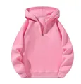 Premium solid pink women's heavy weight half-zip hooded sweatshirt for daily wear - Pink / 3XL