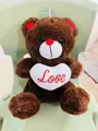 Cute brown plush teddy bear holding a white heart with red Love embroidery gift - Coffee / 25