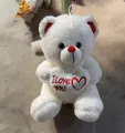 Adorable ours en peluche blanc tenant un cœur brodé avec le message I Love You. - Blanc / 25