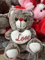Cute gray plush teddy bear holding a white heart with red Love embroidery for Valentine's Day gift - Brown / 25