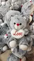 Soft grey plush teddy bear holding a white heart with red Love embroidery - Mixed Grey / 25