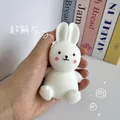 Little White Rabbit Squeeze Toy