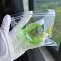 Vista dettagliata di un giocattolo squishy a forma di mela verde trasparente in busta zip - Mela Verde (Maltosio) / 6cm / Verde