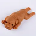 Μαλακό καφέ Shar Pei παιχνίδι ανακούφισης από το στρες σε πρηνή θέση σε λευκό φόντο - Καφέ κουτάβι