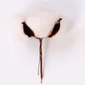 Fiore di cotone bianco naturale con gambo in filo marrone per decorazioni natalizie - Bianco