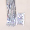 Detail view of iridescent laser tinsel curtain showing packaging and texture. - 1*2M / Silver