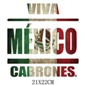 Mexican Independence Day heat transfer vinyl decal for clothing Viva Mexico Cabrones - VIVA MEXICO Text Fusion Style (DS1577)
