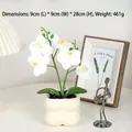 Elegant artificial white Phalaenopsis orchid in a cream ceramic pot, 28cm high - Wave Pot-Phalaenopsis / White-Phalaenopsis