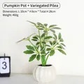 Realistic variegated artificial plant in white ceramic pumpkin pot for home office decor - Pumpkin Pot-Aluminum Plant / White-Pumpkin Pot