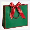 Green gift paper bag with red ribbon bow and braided handle for festive packaging - Vertical Bow Style / 21x10x29cm / Green with Red Frame
