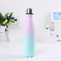 Isolierte 304 Edelstahl-Cola-Flasche mit elegantem lila-grünem Farbverlauf Design - 500ml / Lila-Blau Farbverlauf