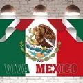 Mexican Independence Day party backdrop banner with Viva Mexico and eagle crest design - Viva Mexico Style (yxq220) / 150x100cm
