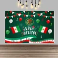 Mexican Independence Day festive party banner background with Viva Mexico and flag motifs - Cactus Party Style (yxq223)