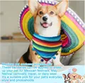 Mexikanisches gestreiftes Haustier-Halstuch mit bunten Pompons und passendem Sombrero. - Horizontale Streifen Mit Bunten Bommeln