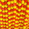 Primer plano de guirnaldas de flores de cempasúchil artificiales naranjas y amarillas - 30 Flores / 150cm / Degradado Rojo Amarillo