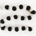 Macro view showing the texture of black and white marigold garland on white background - No.22 Black and White