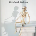 Petit modèle de squelette d'Halloween de 40 cm pour la décoration de fête de maison hantée - Squelette de Base