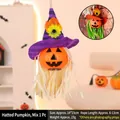 Halloween pumpkin hanging decoration with purple witch hat and sunflower accent - Pumpkin Lantern With Hat Mixed