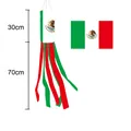 Decorative Mexican flag windsock with 100cm total length for festive outdoor events - Mexico Windsock Flag