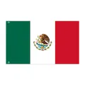 Vue détaillée du drapeau national mexicain avec des bandes vives et des oeillets - Grande Bannière / 90x150cm