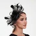 Detalle de diadema de rejilla negra con plumas para fiestas y eventos elegantes. - Diadema Fascinator / Negro