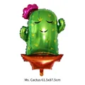 Palloncino in alluminio verde Miss Cactus per decorazione festa messicana, 61.5x87.5cm - Signorina Cactus (DA01)