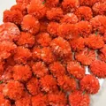 Primer plano de vibrantes guirnaldas de cempasúchil artificial para decoración. - Rojo Naranja