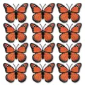Lot de 12 stickers muraux papillon monarque orange pour décoration maison et Halloween - 6cm Grande Fleur Orange / Lot de 12