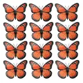 Lot de 12 autocollants muraux papillons monarques orange vif disposés en grille - 8cm Grande Fleur Orange / Lot de 12