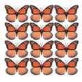 Lot de 12 autocollants muraux réalistes papillon Monarque orange pour déco DIY - 12cm Grande Fleur Orange / Lot de 12