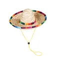 Détail d'un chapeau de paille pour animaux avec garniture arc-en-ciel et cordon réglable - M / Beige