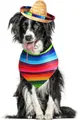 Festliches mexikanisches Haustier-Sombrero und bunt gestreiftes Halstuch-Set für Hunde. - Mittlere Hunde Mexikanischer Strohhut / 21cm