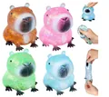 Jouet de décompression capybara élastique au maltose disponible en quatre couleurs vives - Capybara/Dauphin Maltose