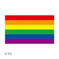 Waterproof rainbow pride flag temporary tattoo sticker for sports events and festivals - Rainbow Flag Style (CE-245) / 60X60mm
